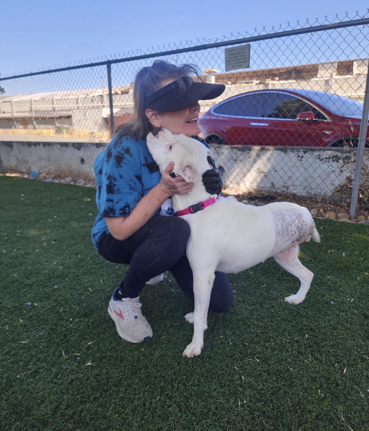 Sierra, a ADOPTABLE mixed breed in Knightsen, CA image 3/6