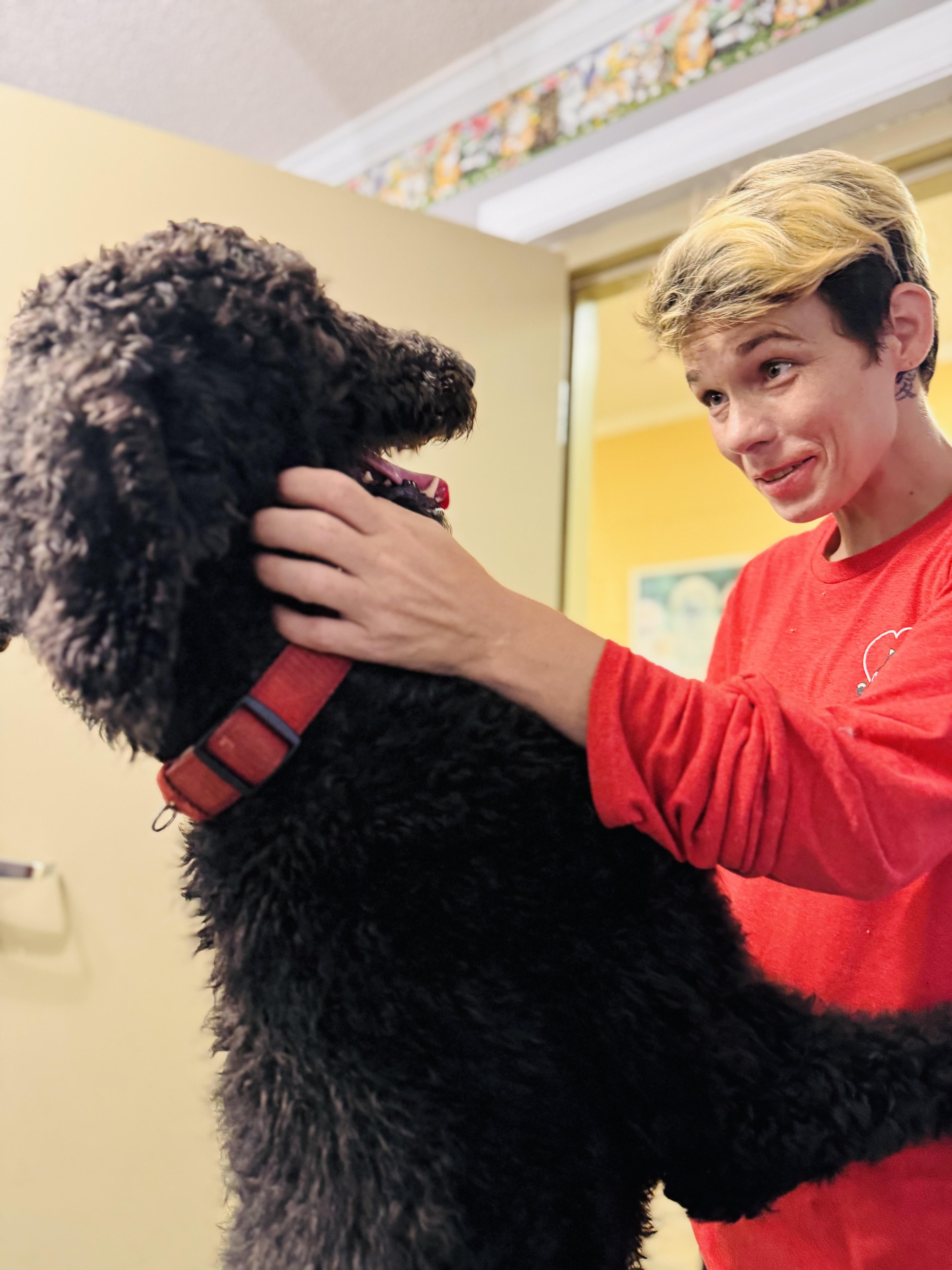 Coco, a Adopted Standard Poodle in Emporia, VA image 3/3