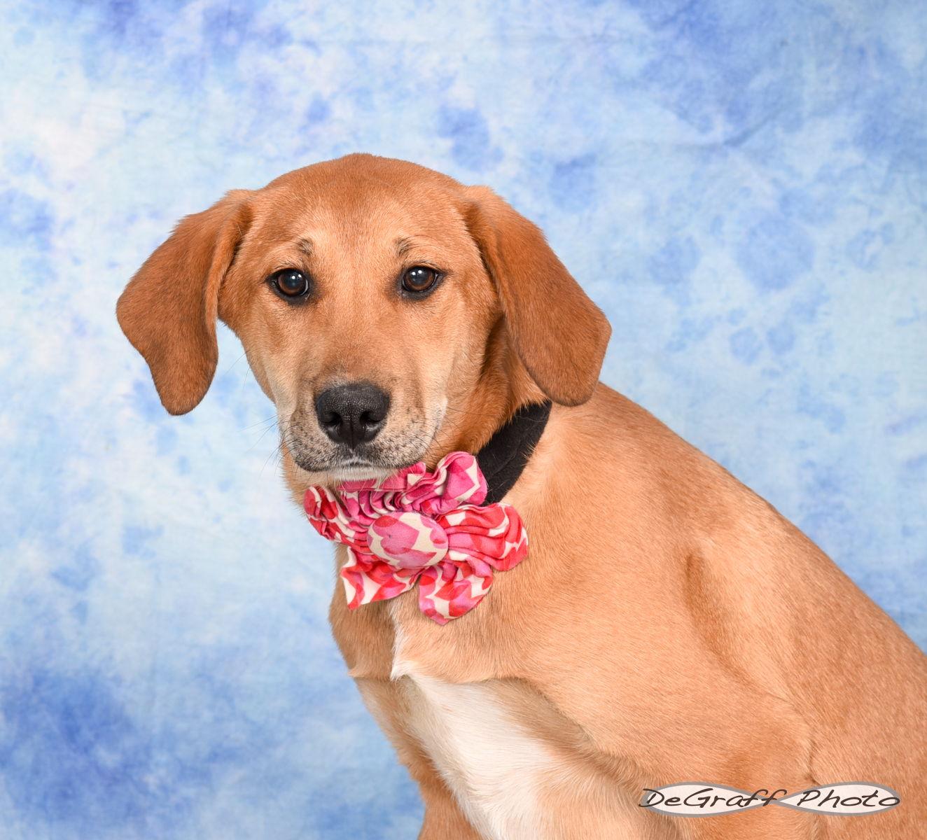 Sugar Plum thumbnail 2