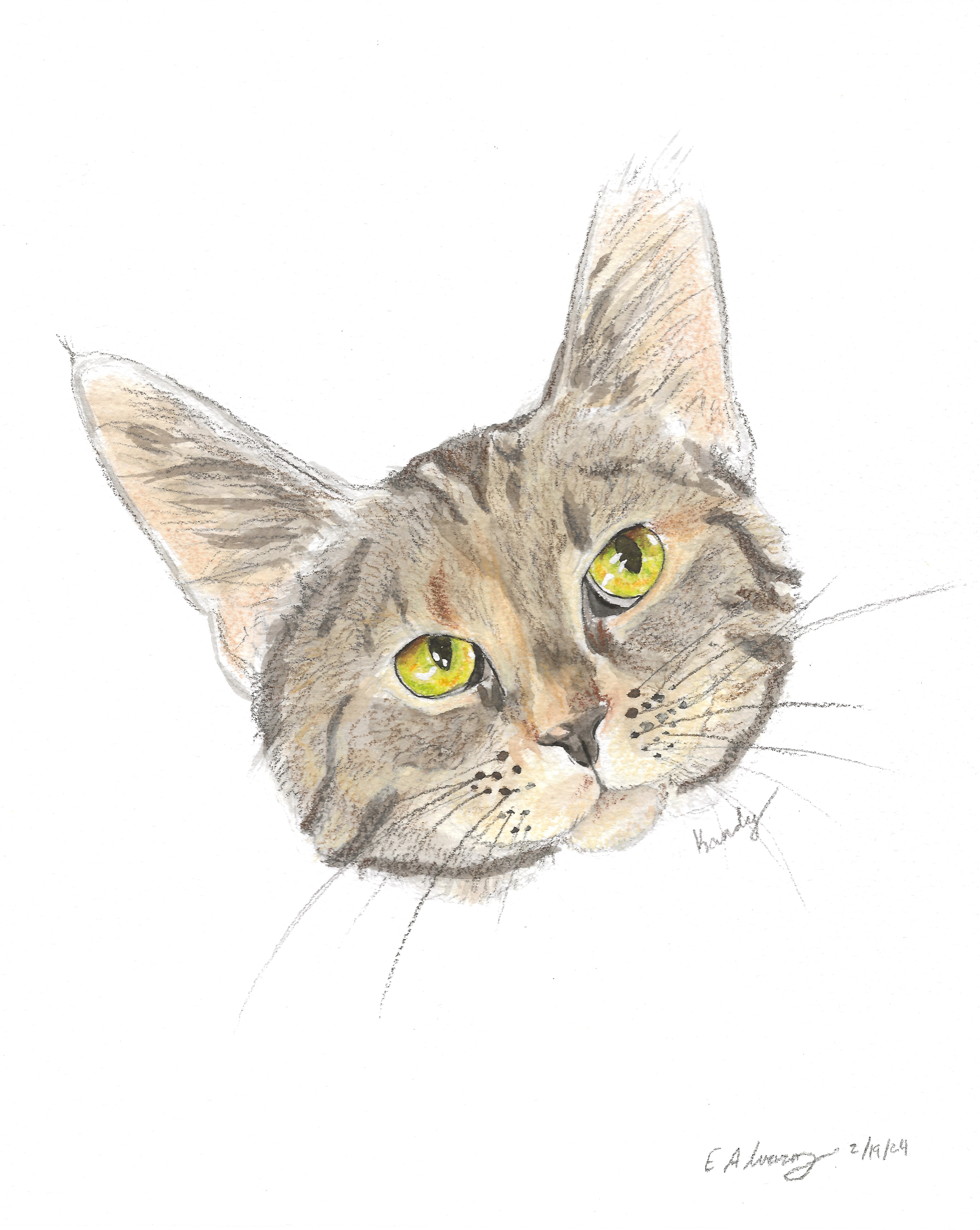 Kandy (beautiful and shy), a Adoptable Domestic Short Hair in New Cumberland, PA image 6/6