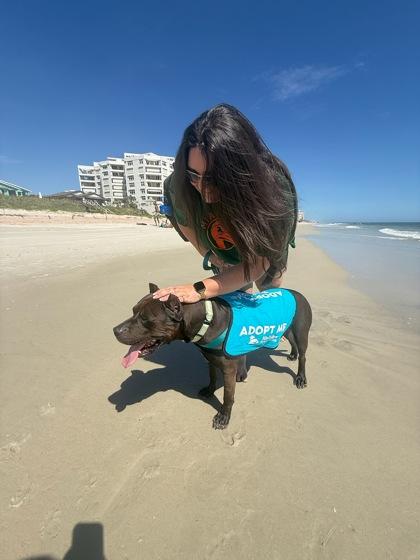 Achilles - 2, a Adoptable mixed breed in Daytona Beach, FL image 3/3