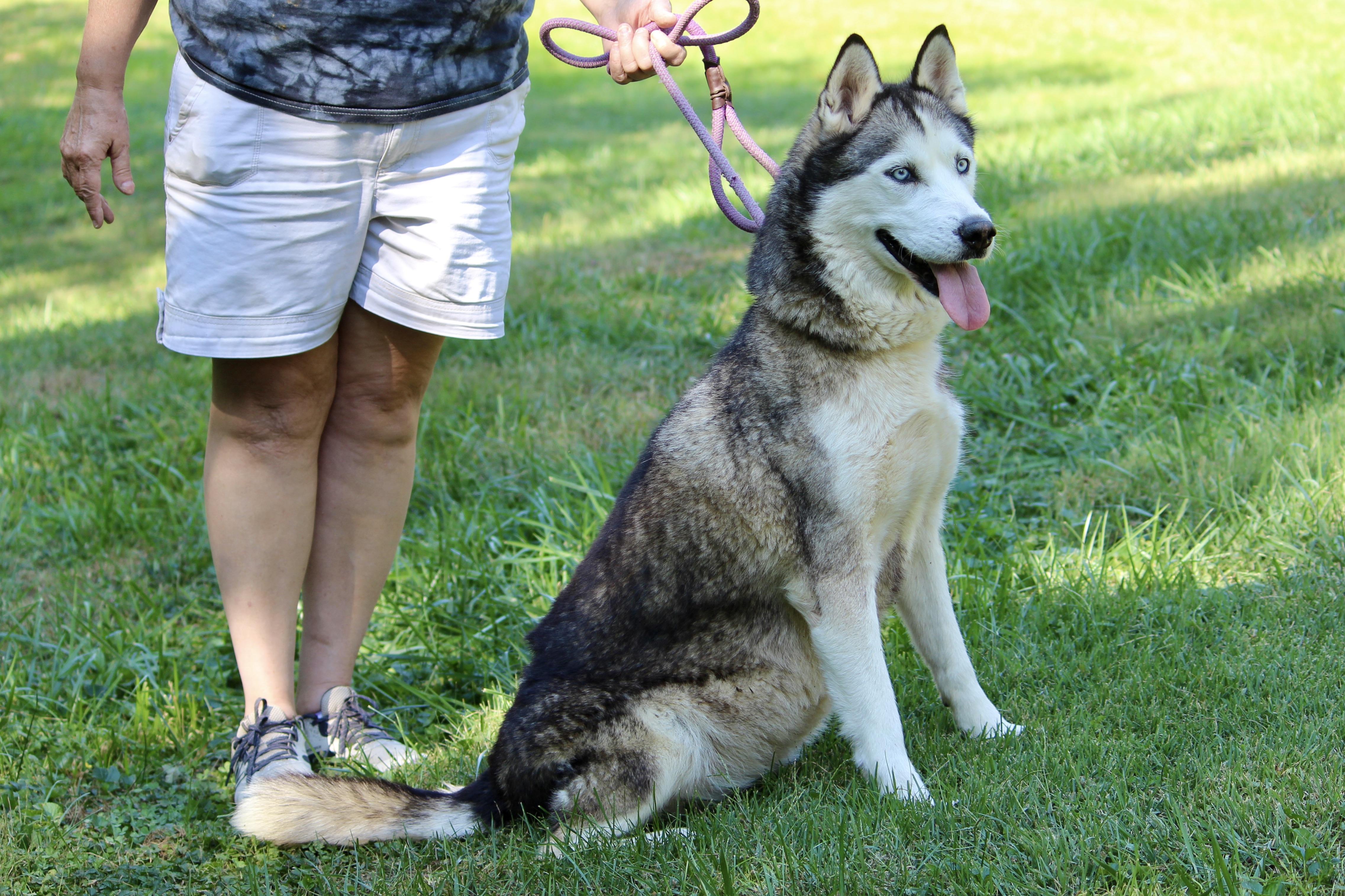 ERNESTINE — thumbnail 2