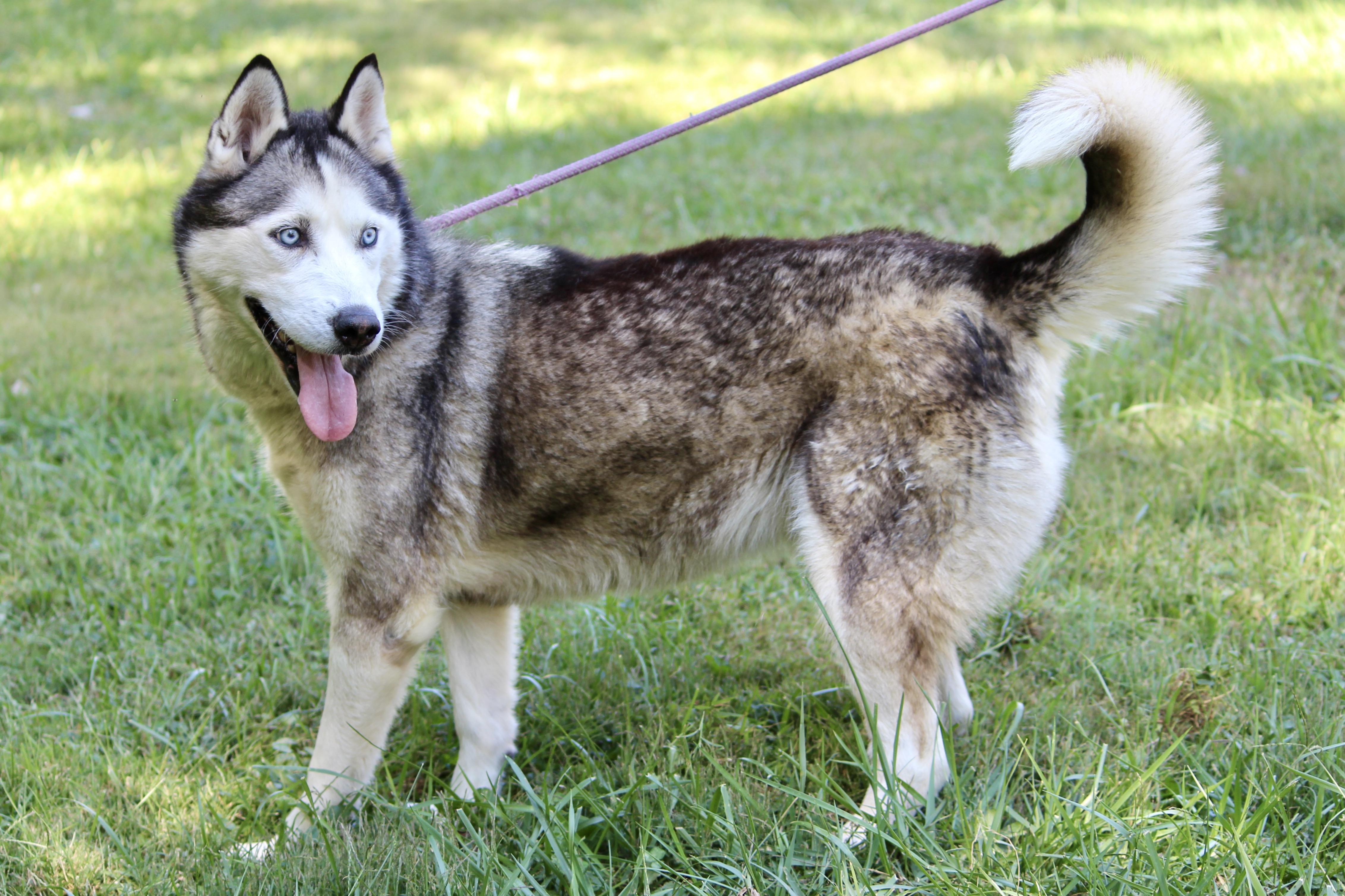 ERNESTINE — thumbnail 4