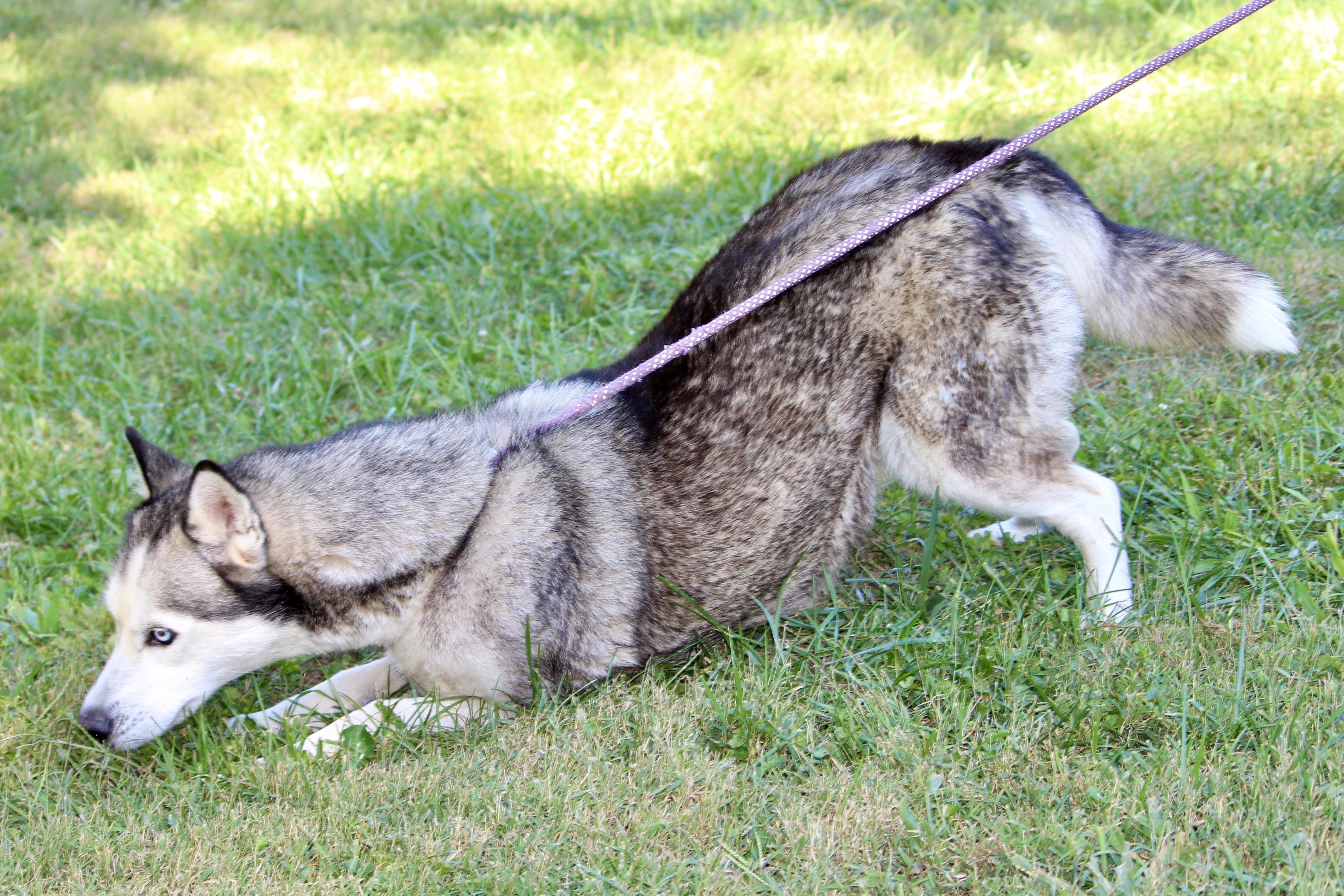 ERNESTINE — thumbnail 5