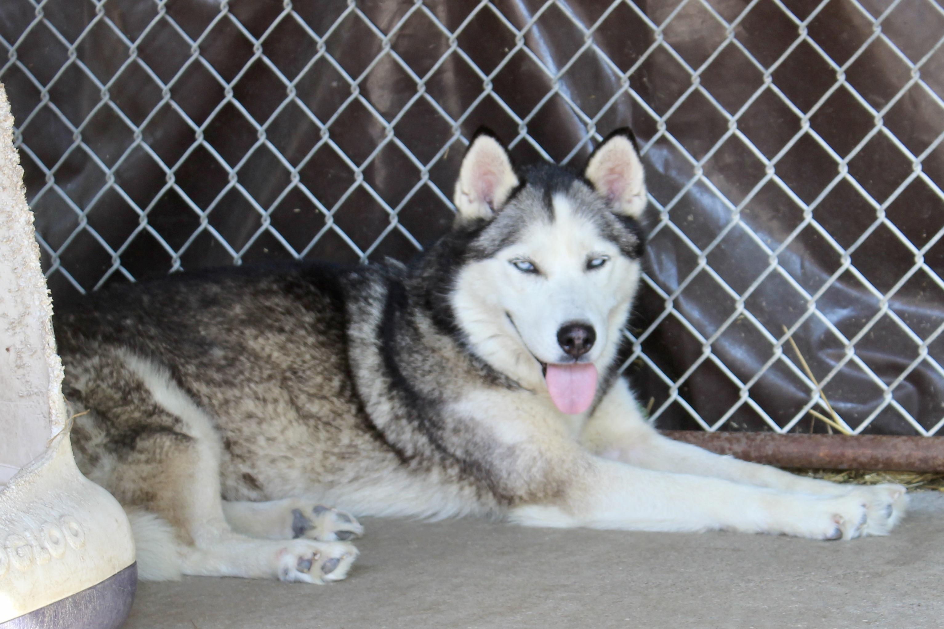 ERNESTINE — thumbnail 6