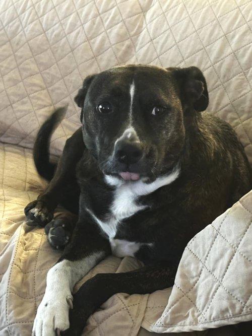 Sammy