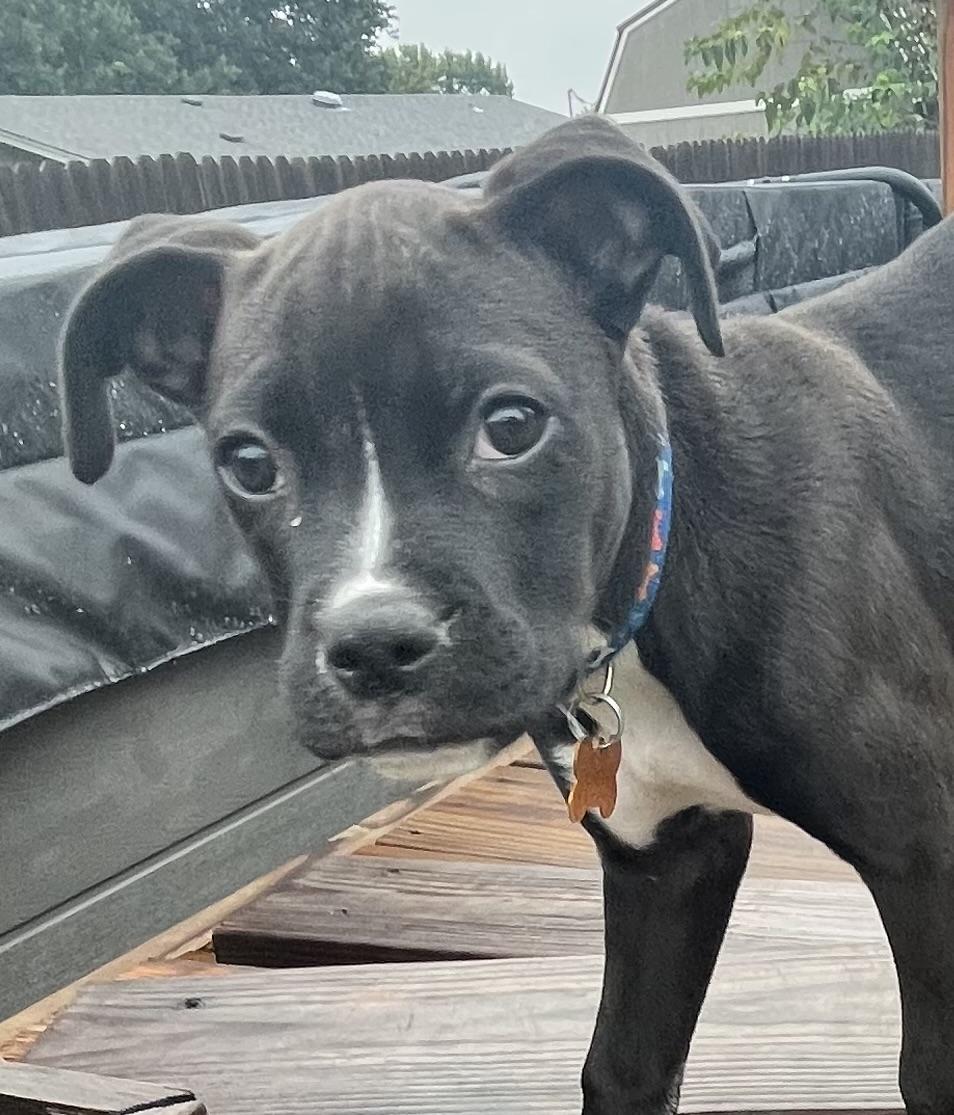 ROSIE