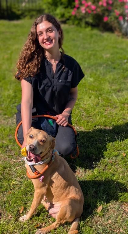 Enlarge Laine, a Adoptable mixed breed in Gulfport, MS image 3/3