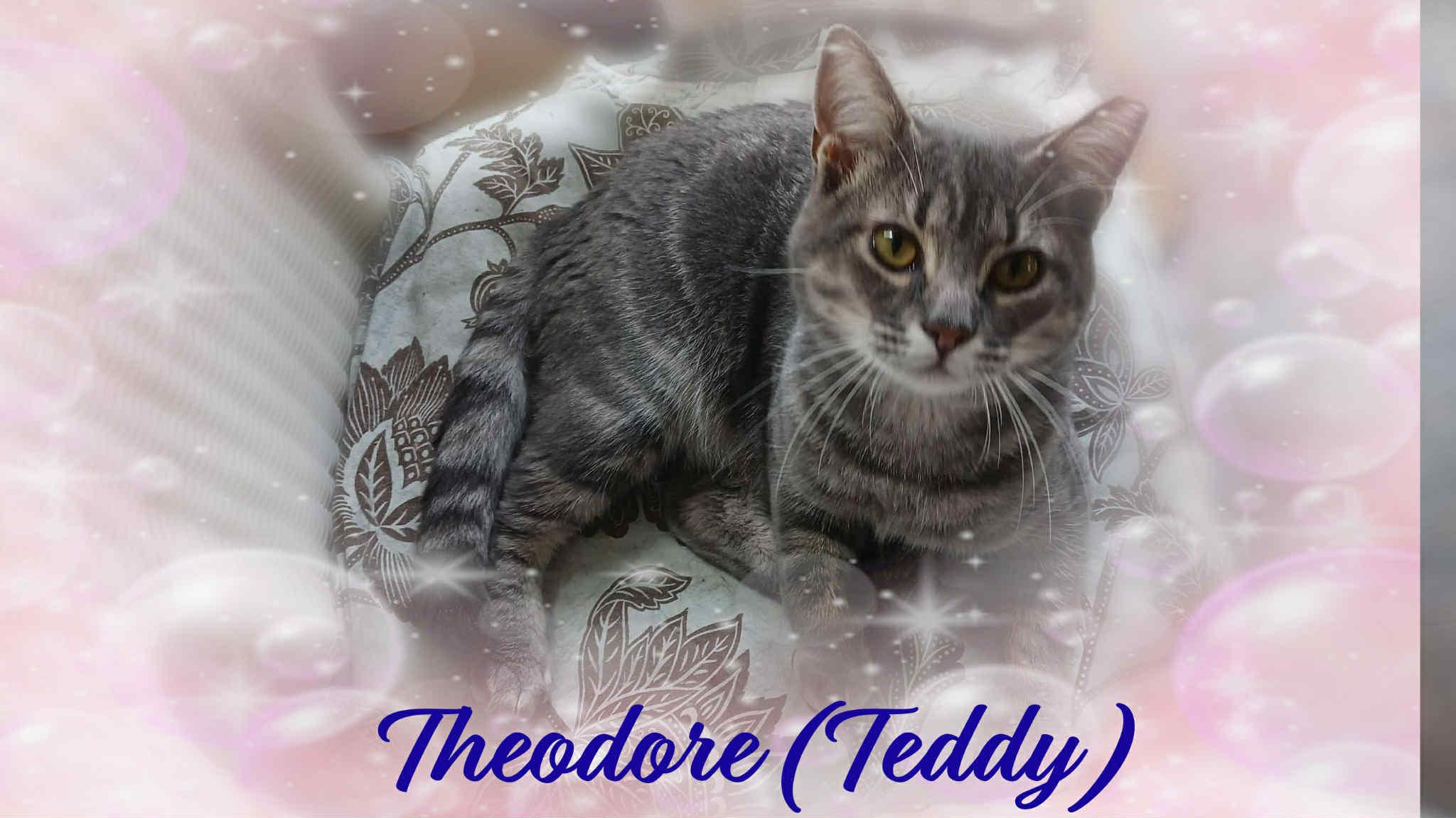 Theodore