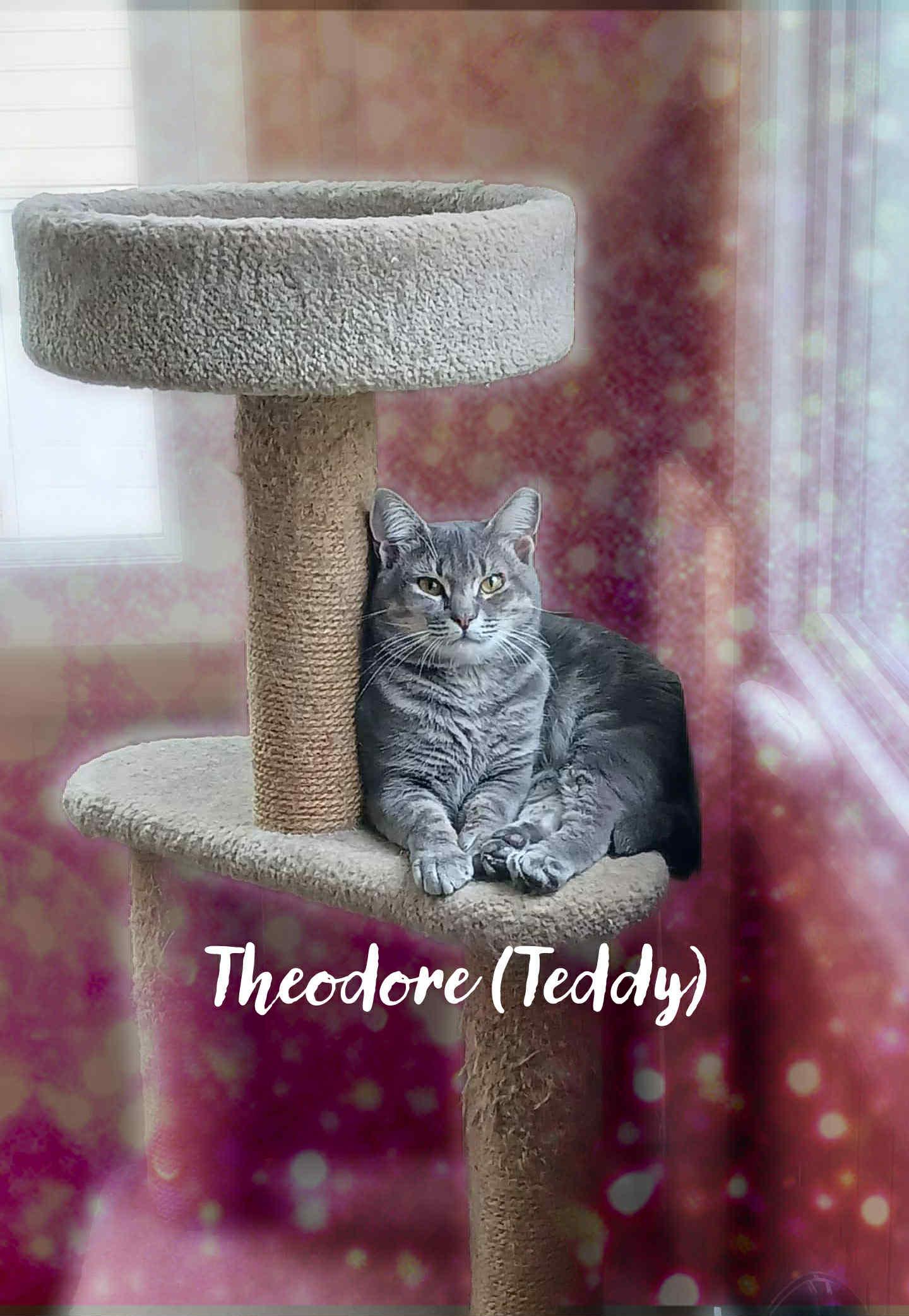 Theodore