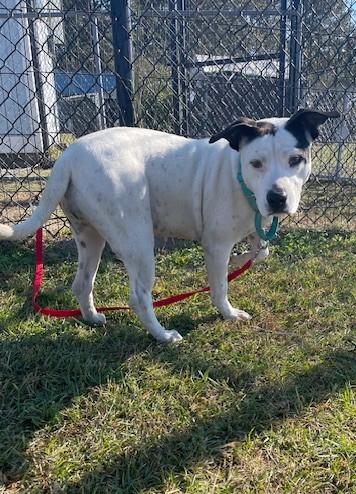 Hattie Mae thumbnail 3