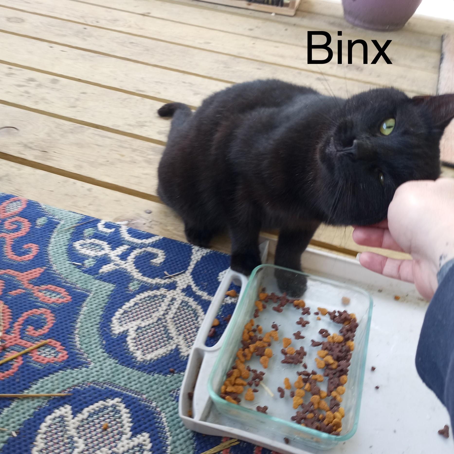 Binx