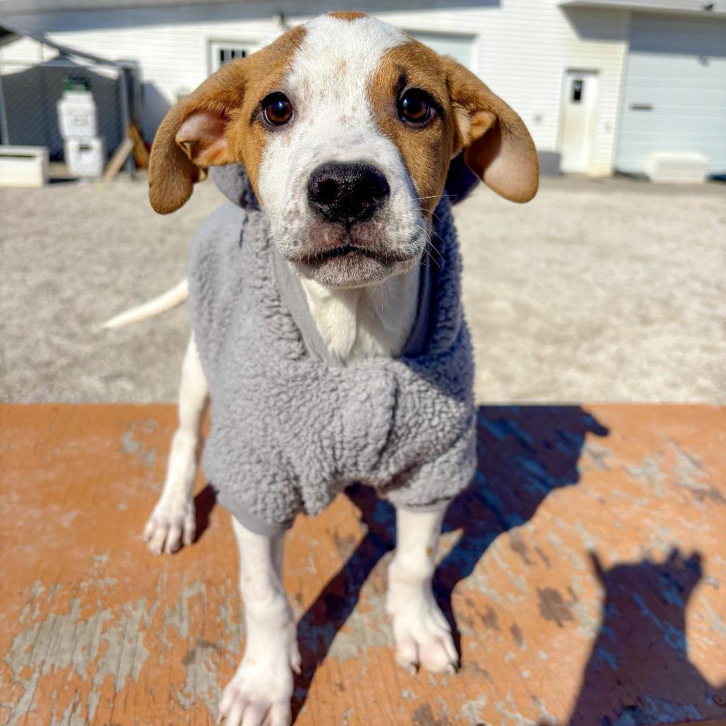 Ryan — thumbnail 2