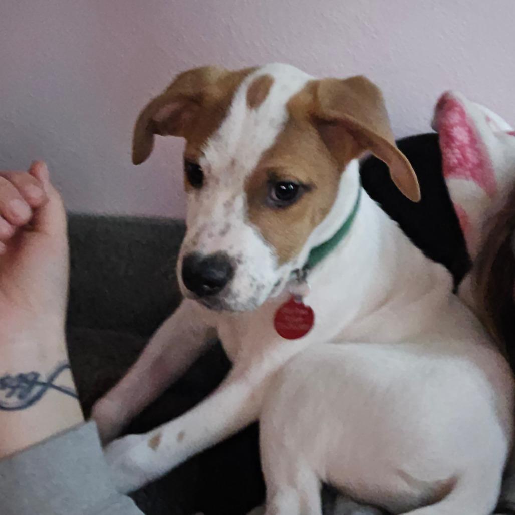 Ryan — thumbnail 3