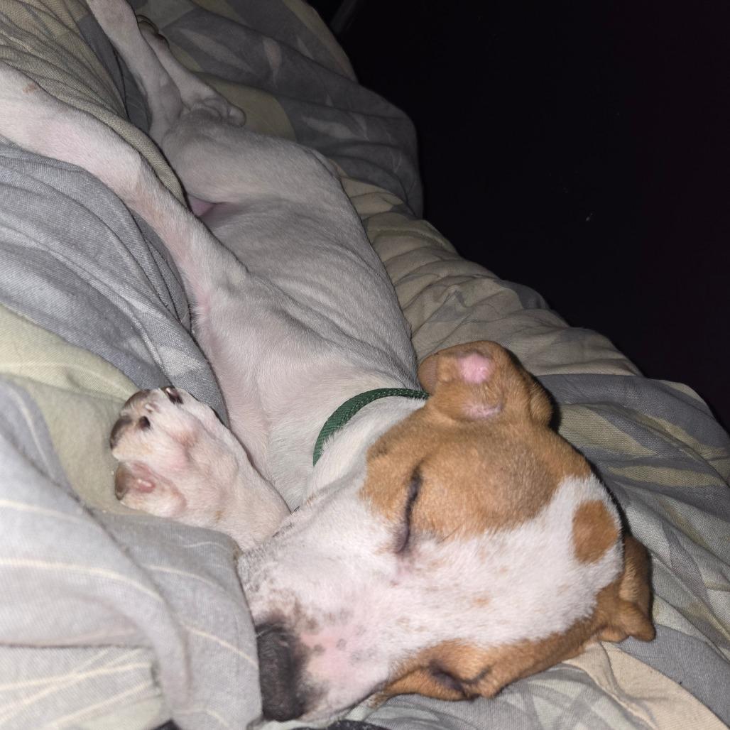 Ryan — thumbnail 4