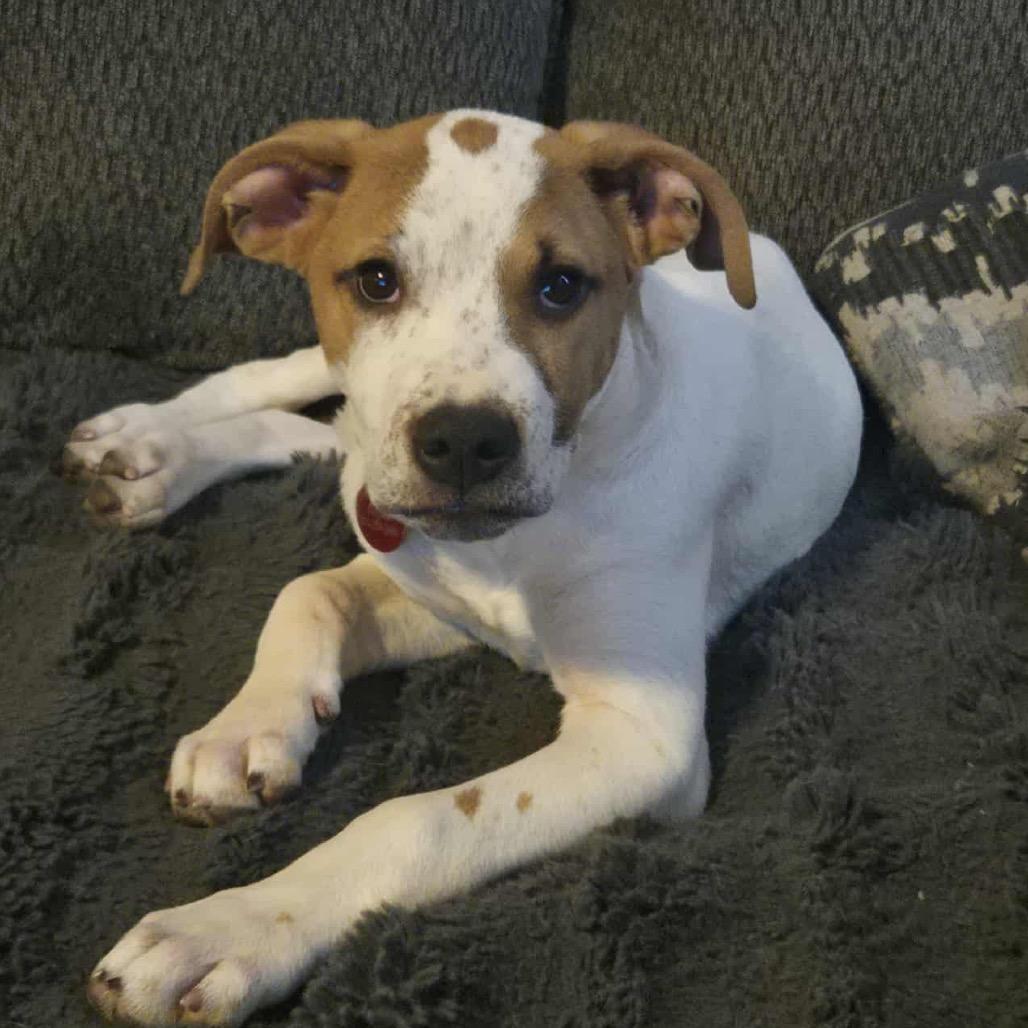 Ryan — thumbnail 5