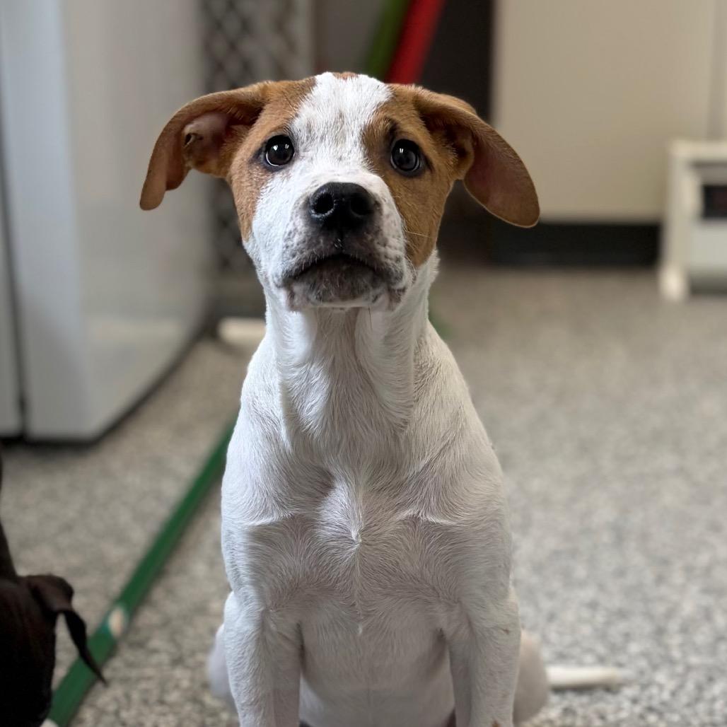 Ryan — thumbnail 6