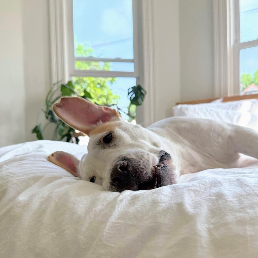 Hero — thumbnail 5