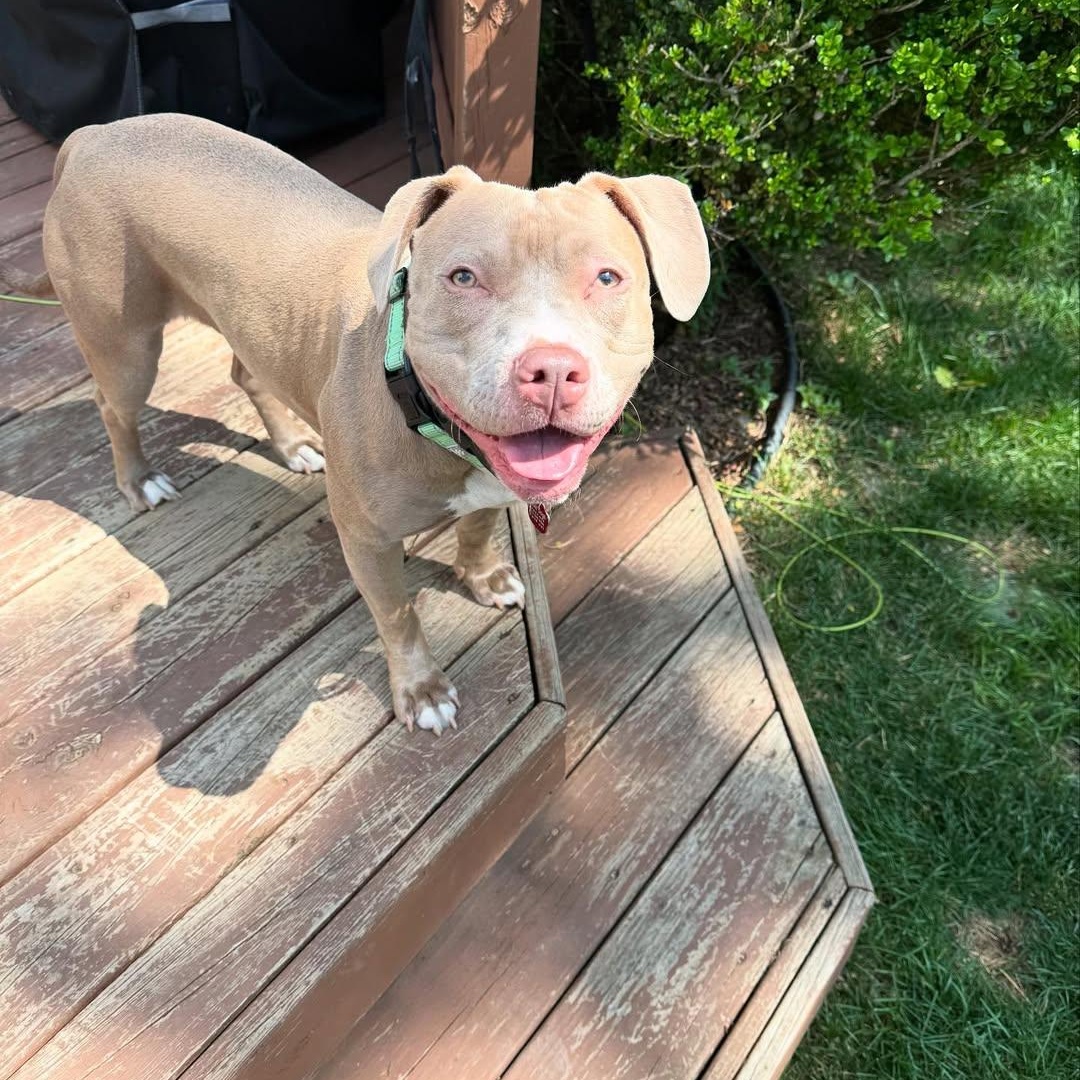 Millie