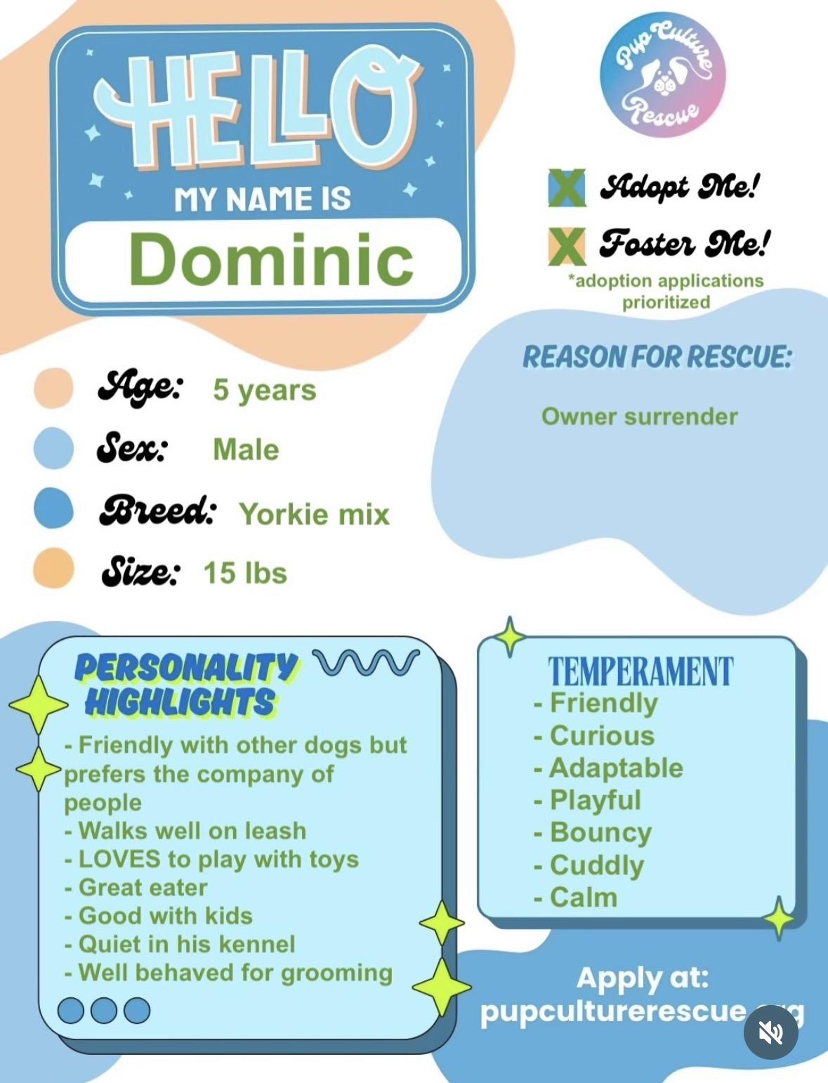 Enlarge Dominic, a ADOPTABLE mixed breed in Pasadena, CA image 2/5