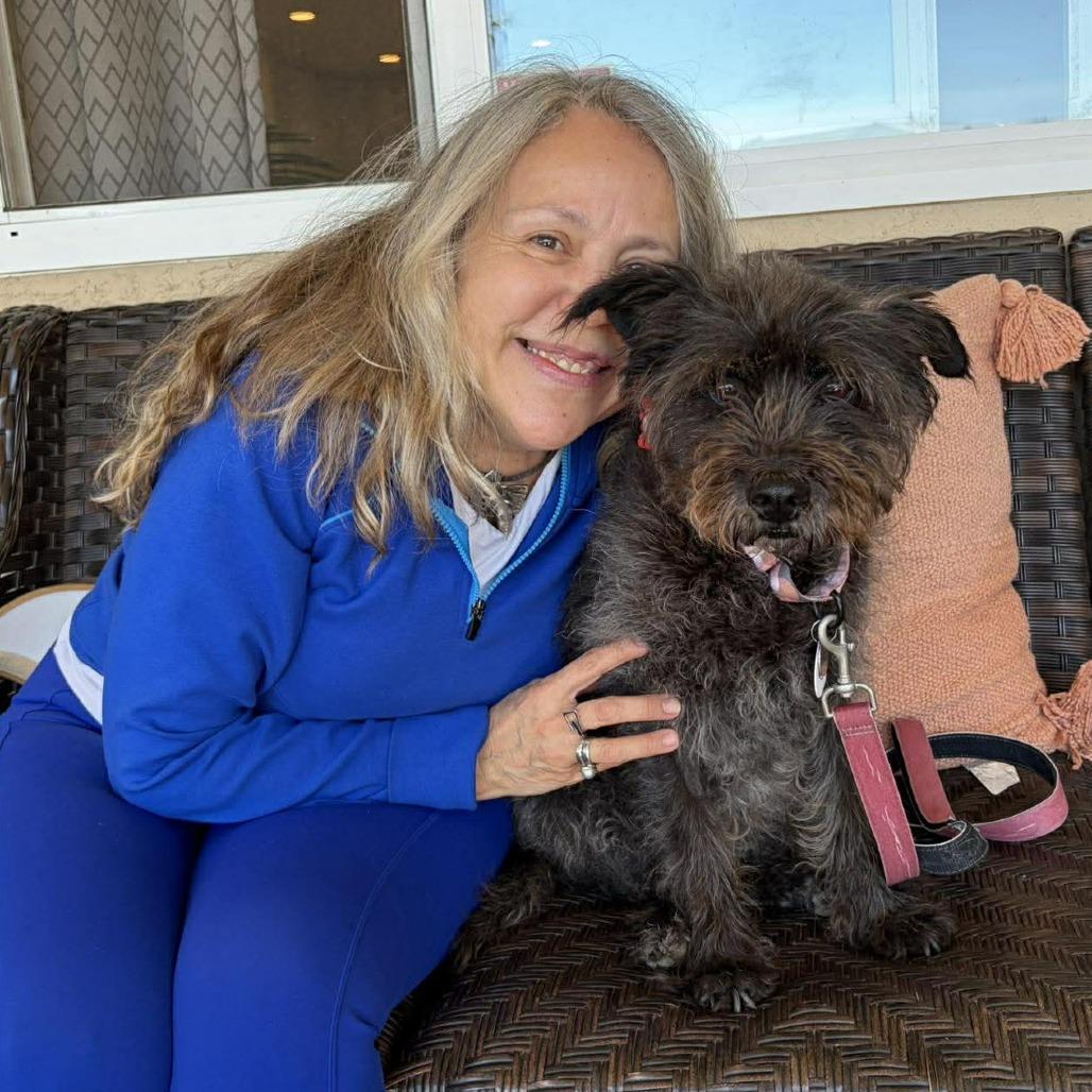 Nicki, a Adoptable Terrier in Ramona, CA image 5/6