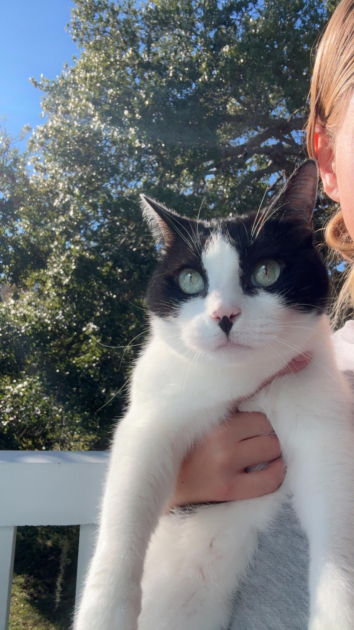 Trixie (mom dying cancer) *video PURR machine