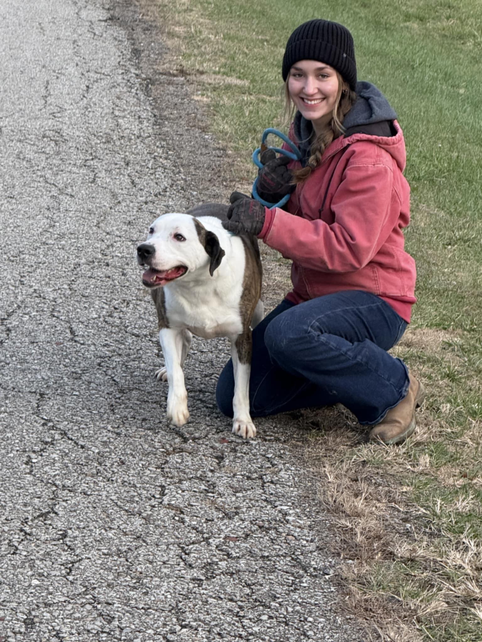 Fatman, a Adoptable mixed breed in Elizabeth, WV image 3/4