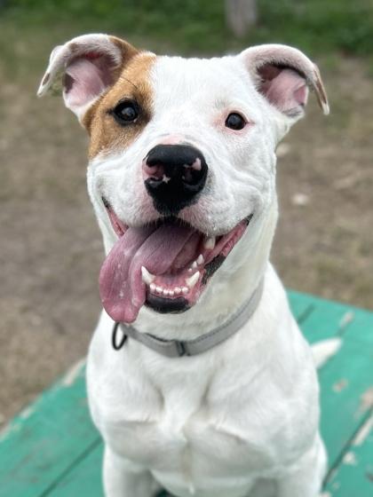 Jeff Hardy — thumbnail 2