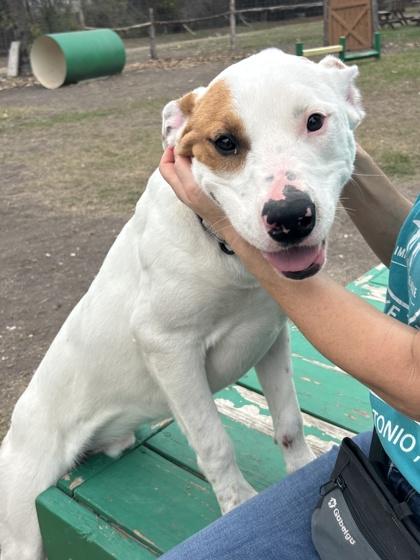 Jeff Hardy — thumbnail 3