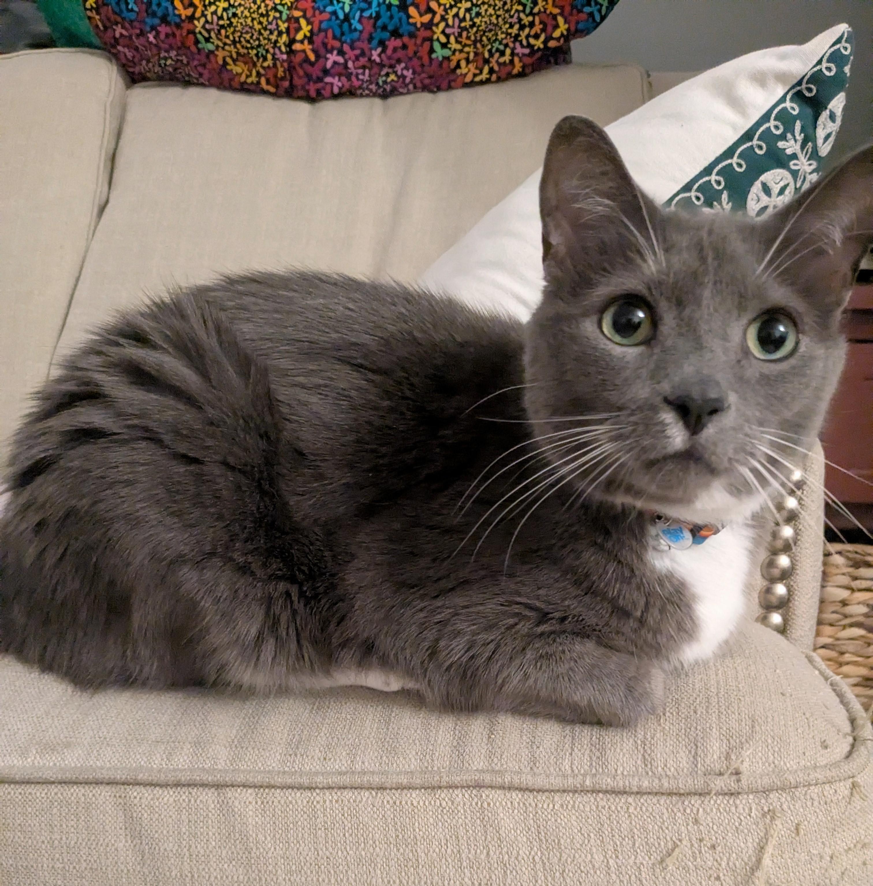 Cooper      (Russian Mix)