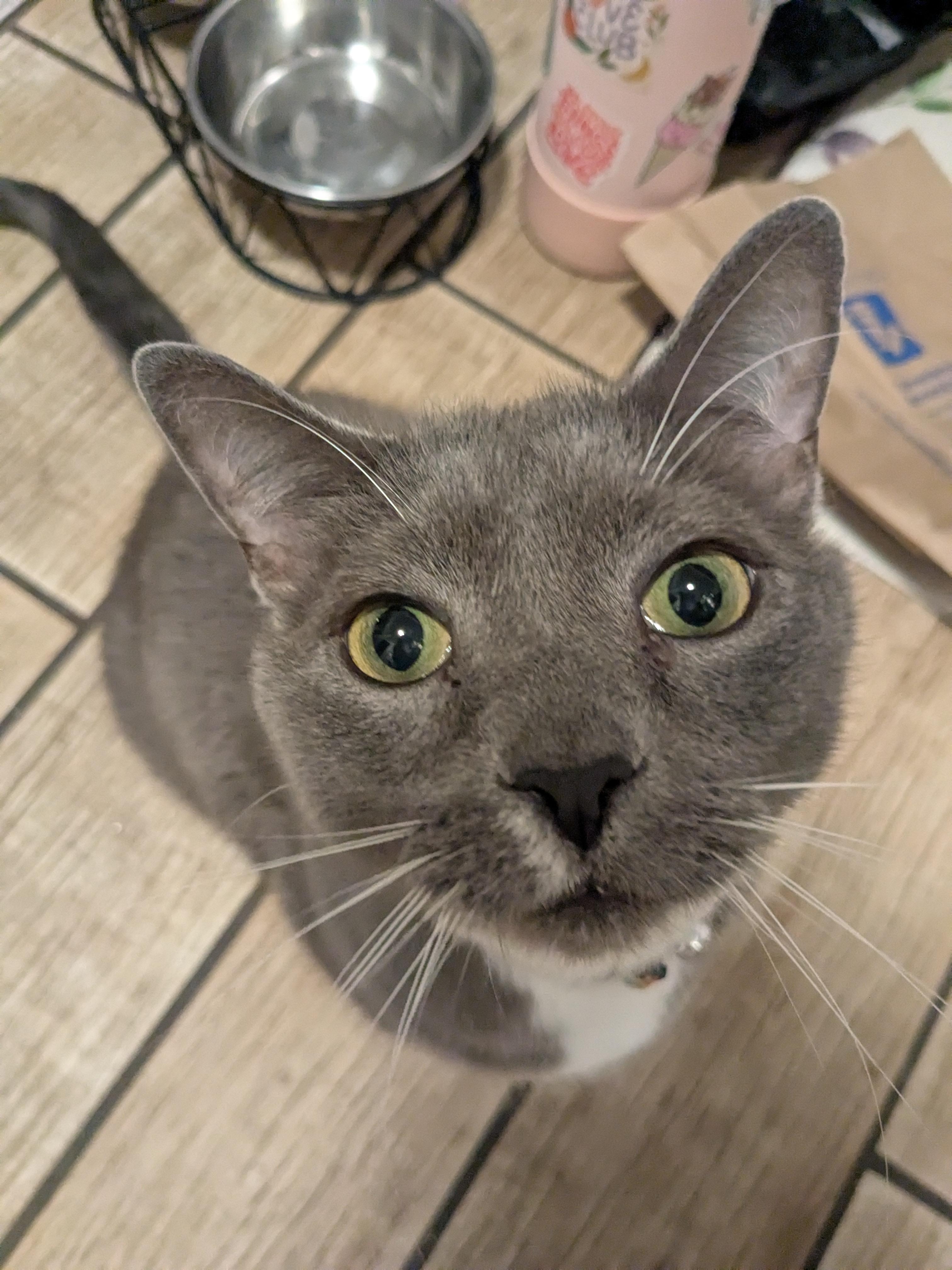 Cooper      (Russian Mix)