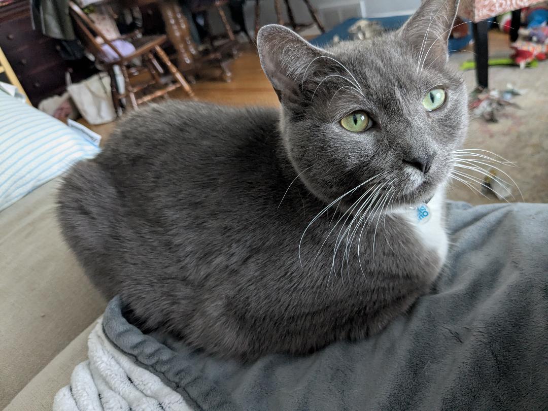 Cooper      (Russian Mix)