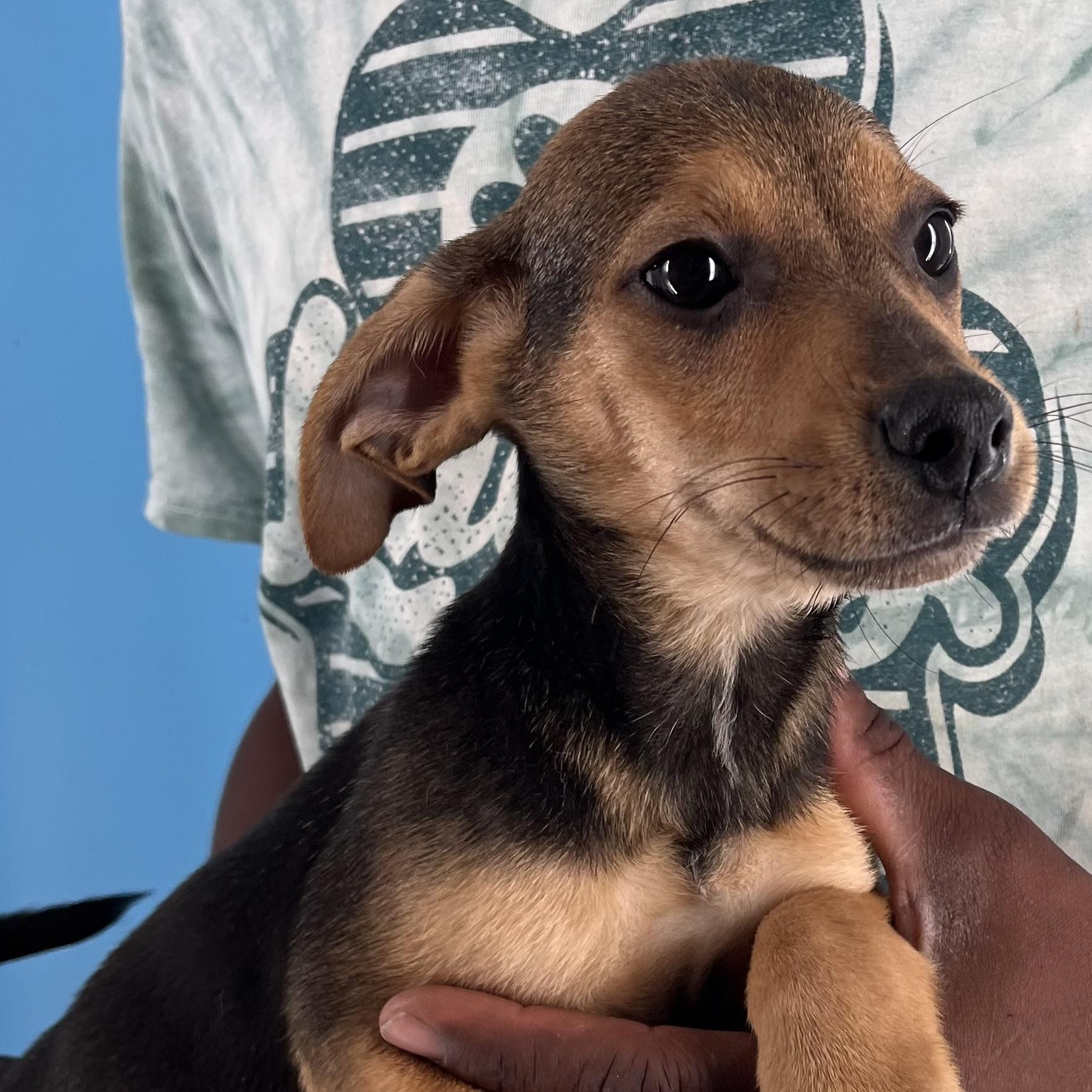 Andy - Local Sept 26-28