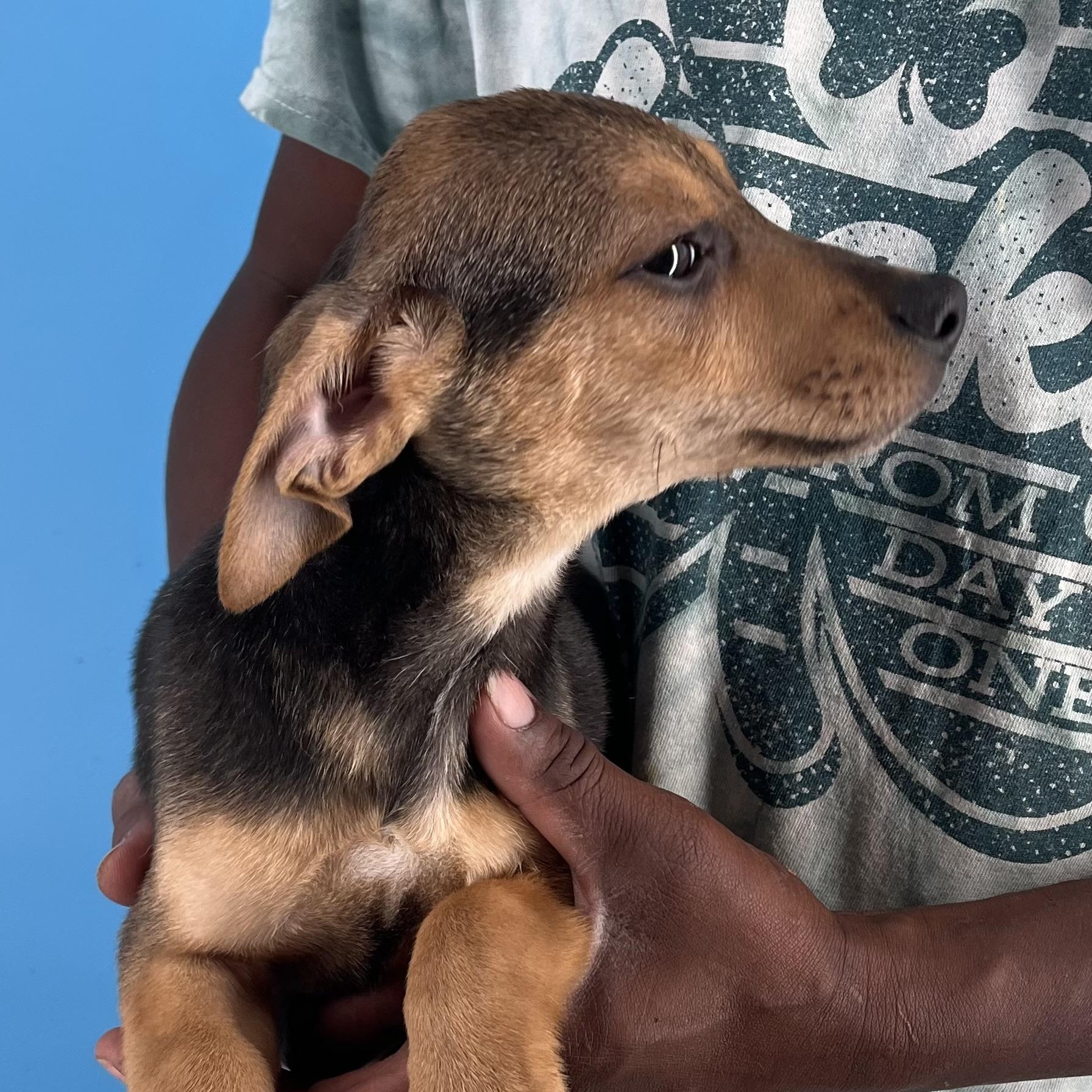 Andy - Local Sept 26-28