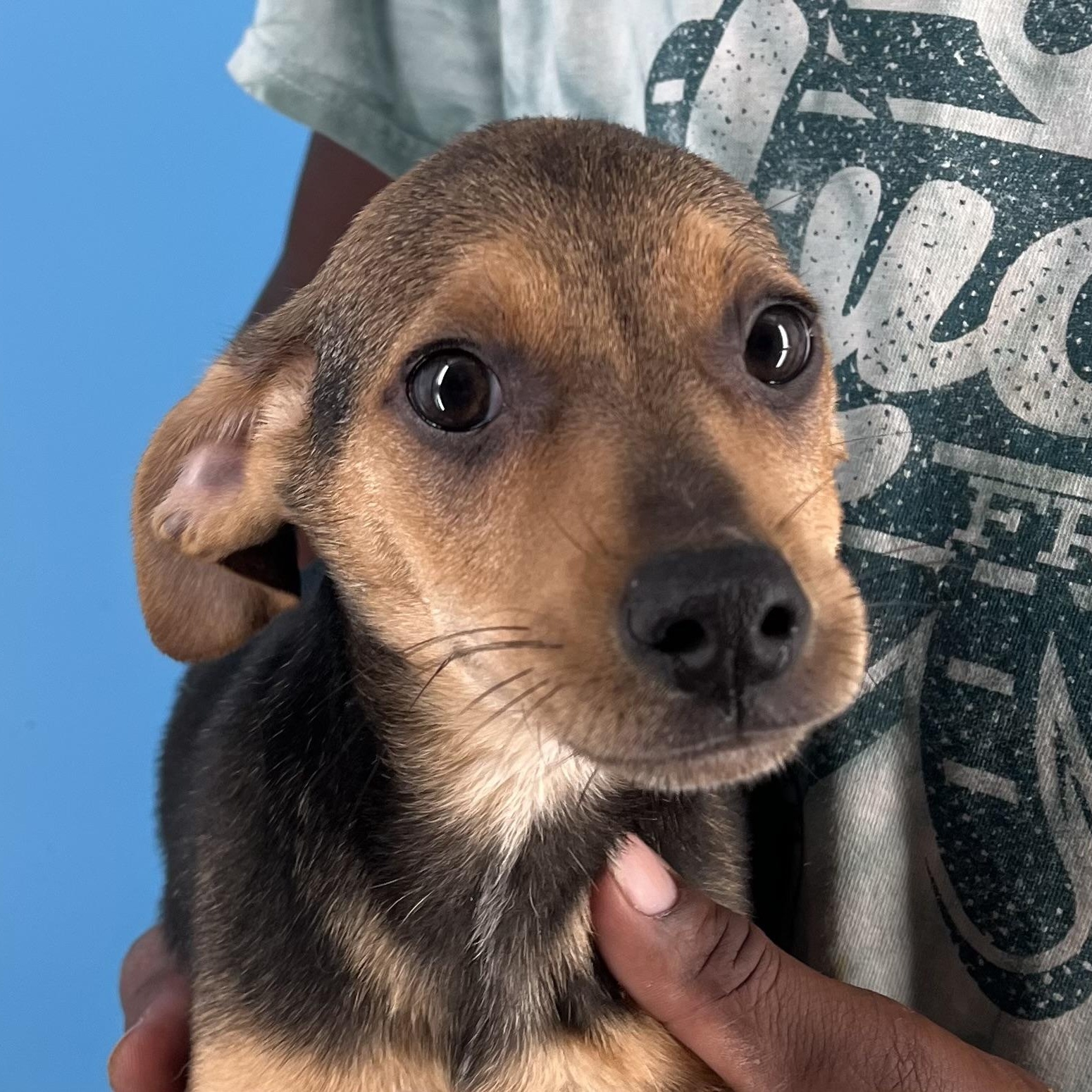 Andy - Local Sept 26-28