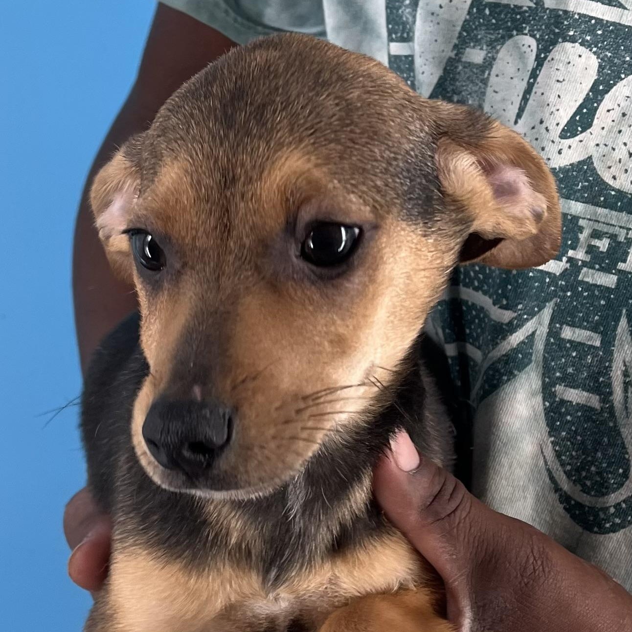 Andy - Local Sept 26-28