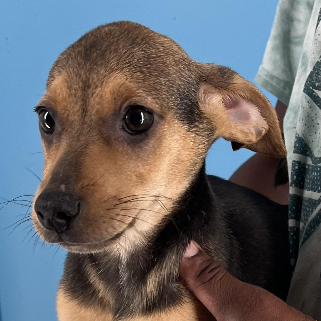 Andy - Local Sept 26-28