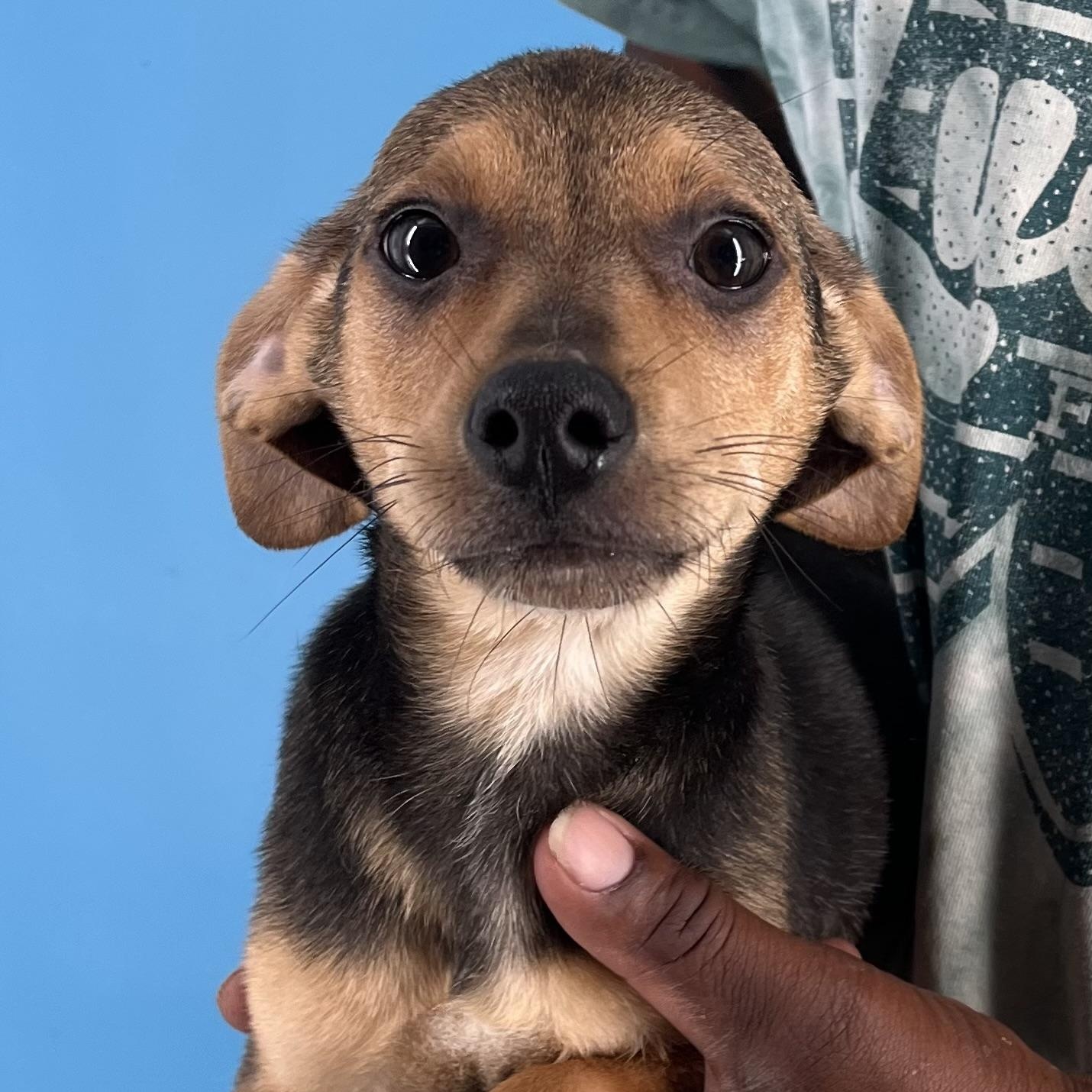 Andy - Local Sept 26-28