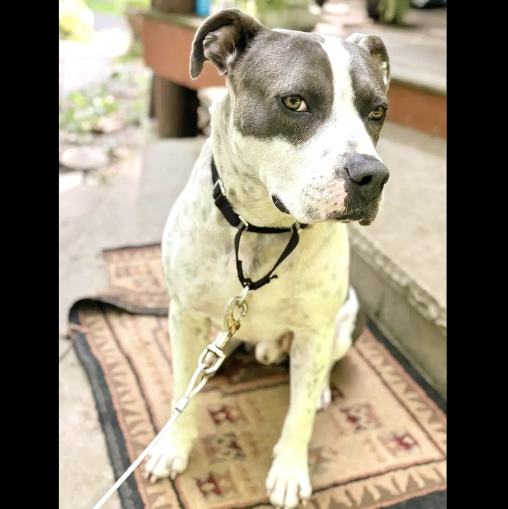 Kenny — thumbnail 2