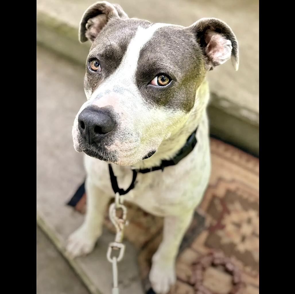 Kenny — thumbnail 3