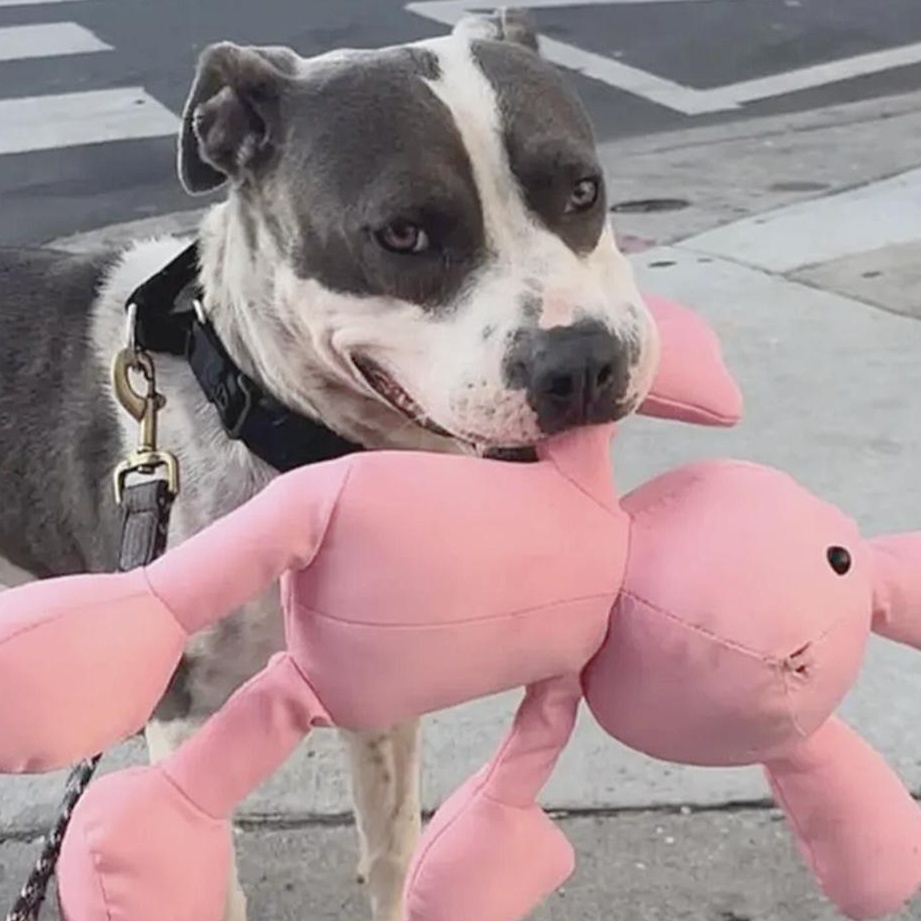 Kenny — thumbnail 6