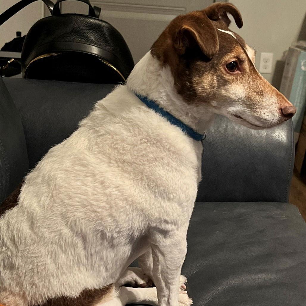 Ryzo (New Digs) — thumbnail 2