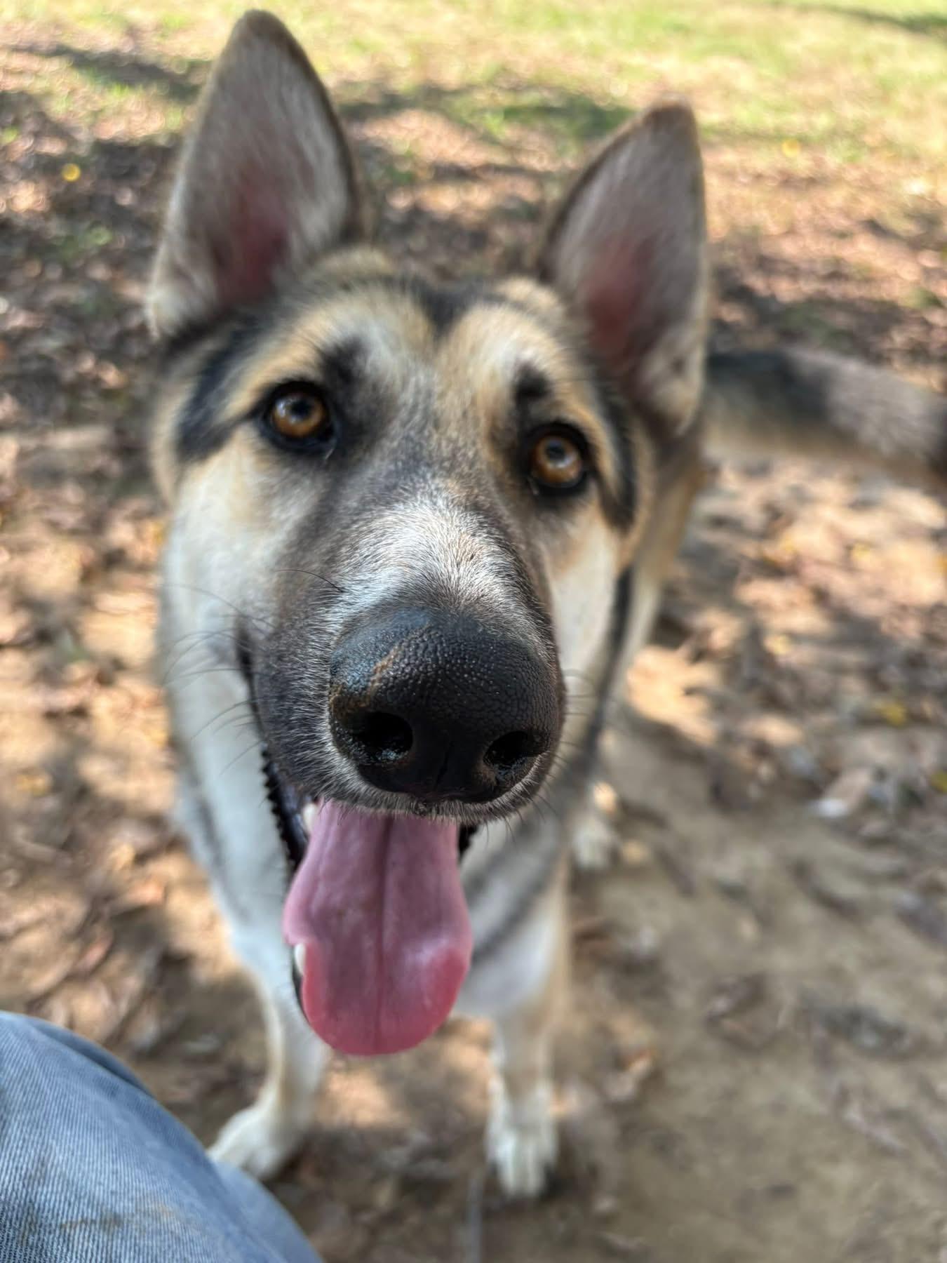 Thor
