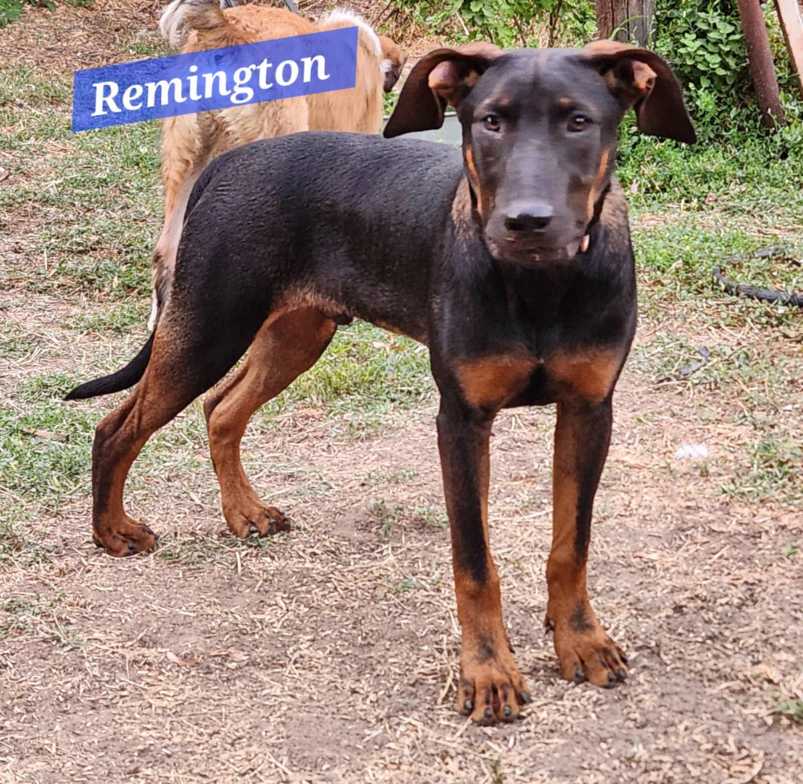 Remington