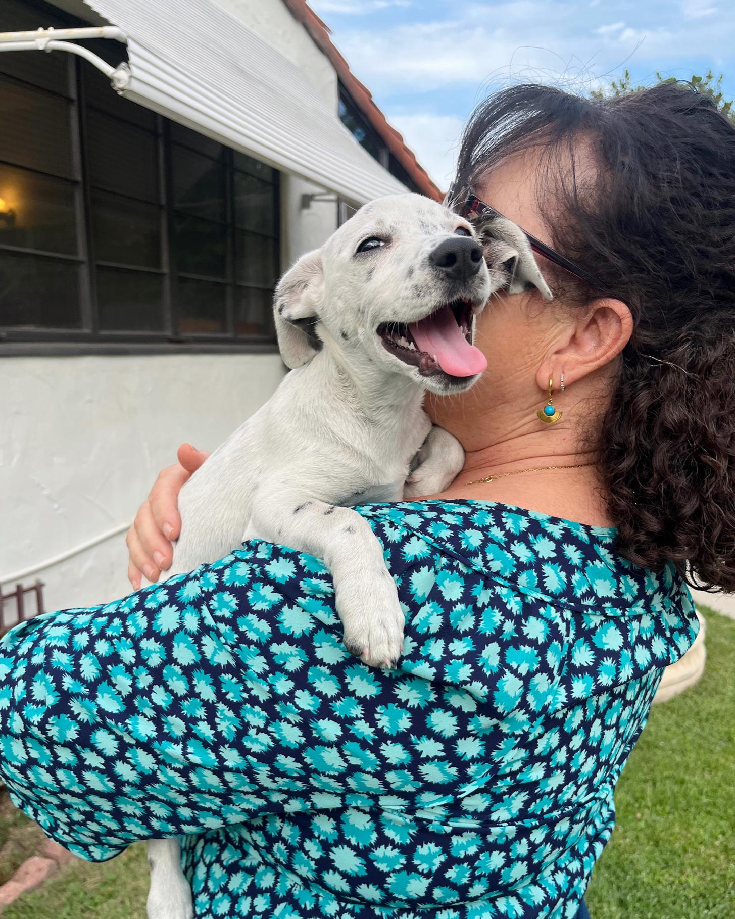 Enlarge Poppy, a Adopted mixed breed in Calabasas, CA image 1/6