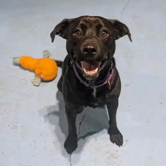 Saison — thumbnail 3