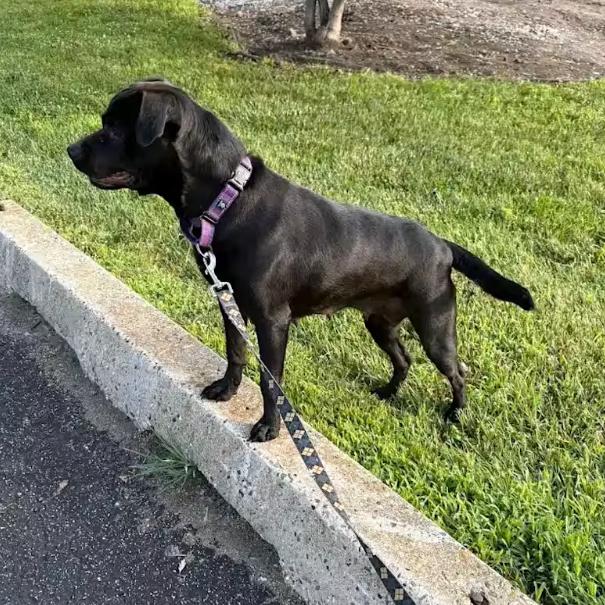 Saison — thumbnail 5