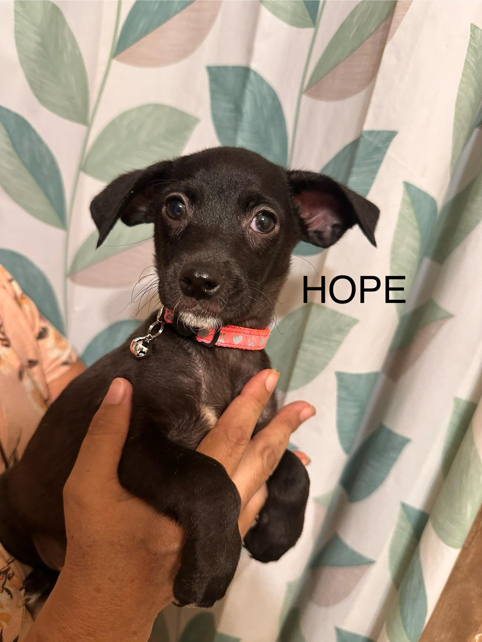 Hope