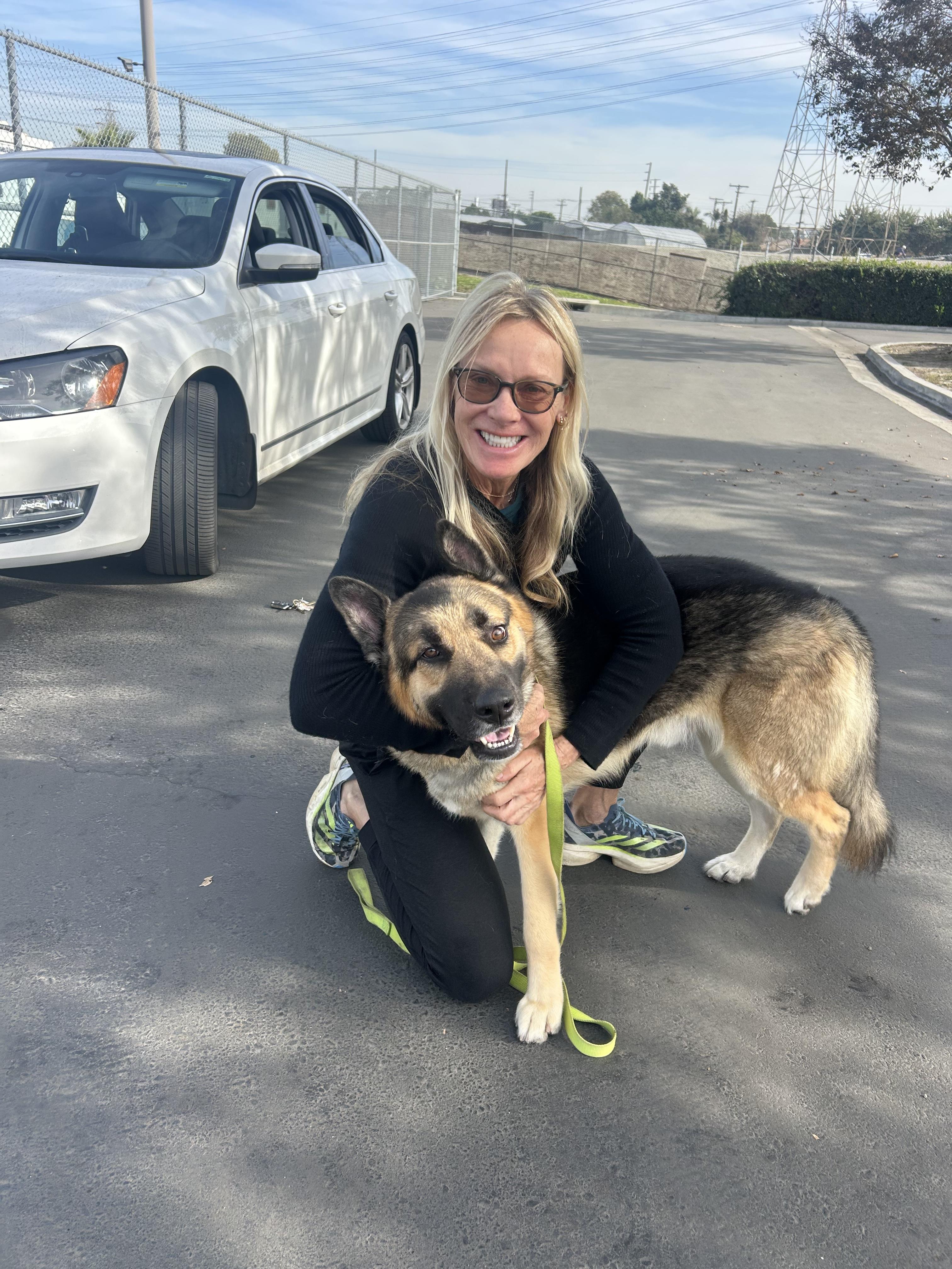 Enlarge ELI, a ADOPTABLE mixed breed in Los Angeles, CA image 4/4
