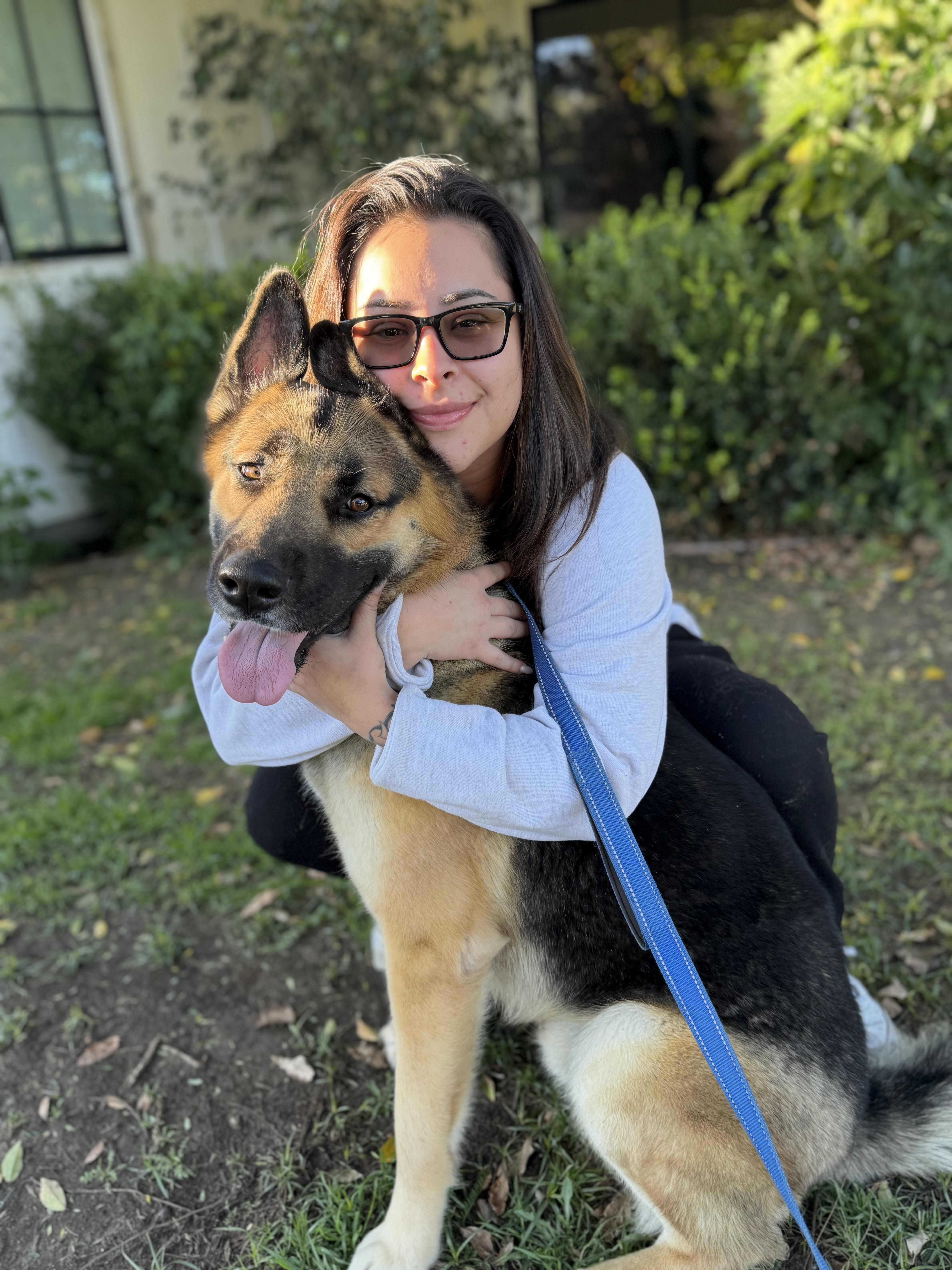 Enlarge ELI, a ADOPTABLE mixed breed in Los Angeles, CA image 2/4